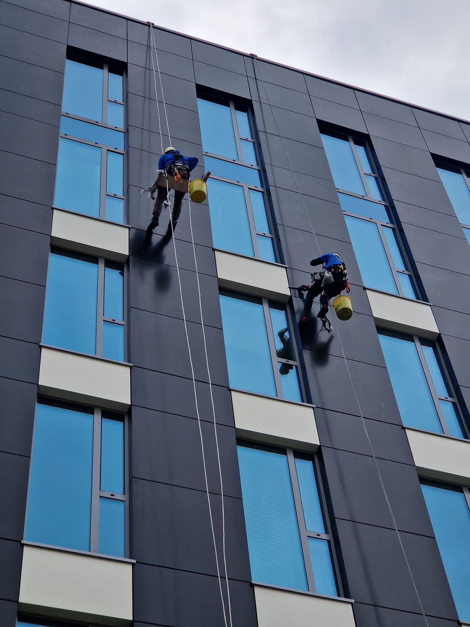 Rope access technicians inspecting a dark modern facade